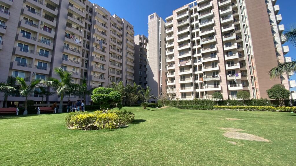 WhatsApp Image 2025-05-12 at 1.51.28 AM (1)